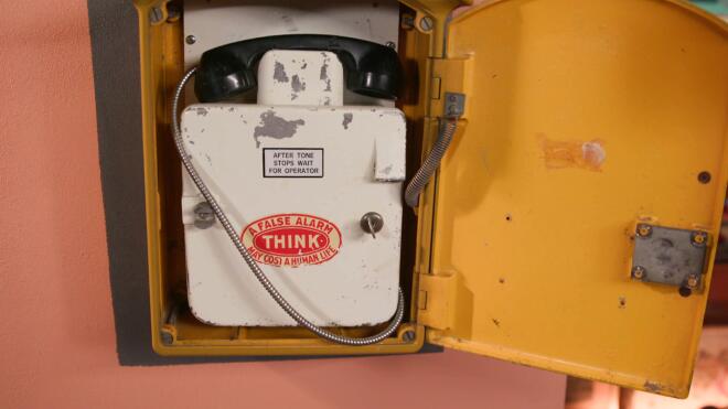 Έργο του Αλέκου Φασιανού δημοπρατείται για πρώτη φορά στο Cash or Trash!