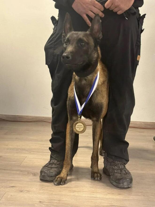 ο σκύλος Echo 1