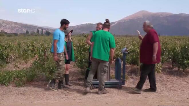 Φάρμα: Η πράσινη ομάδα κέρδισε τη γαλάζια ομάδα στο... ζύγι