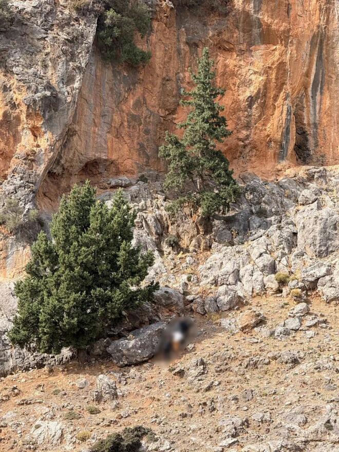 Βορίζια: Ταυτοποιήθηκε ότι συμμετείχε στη συμπλοκή ο γαμπρός του Φ. Καργάκη