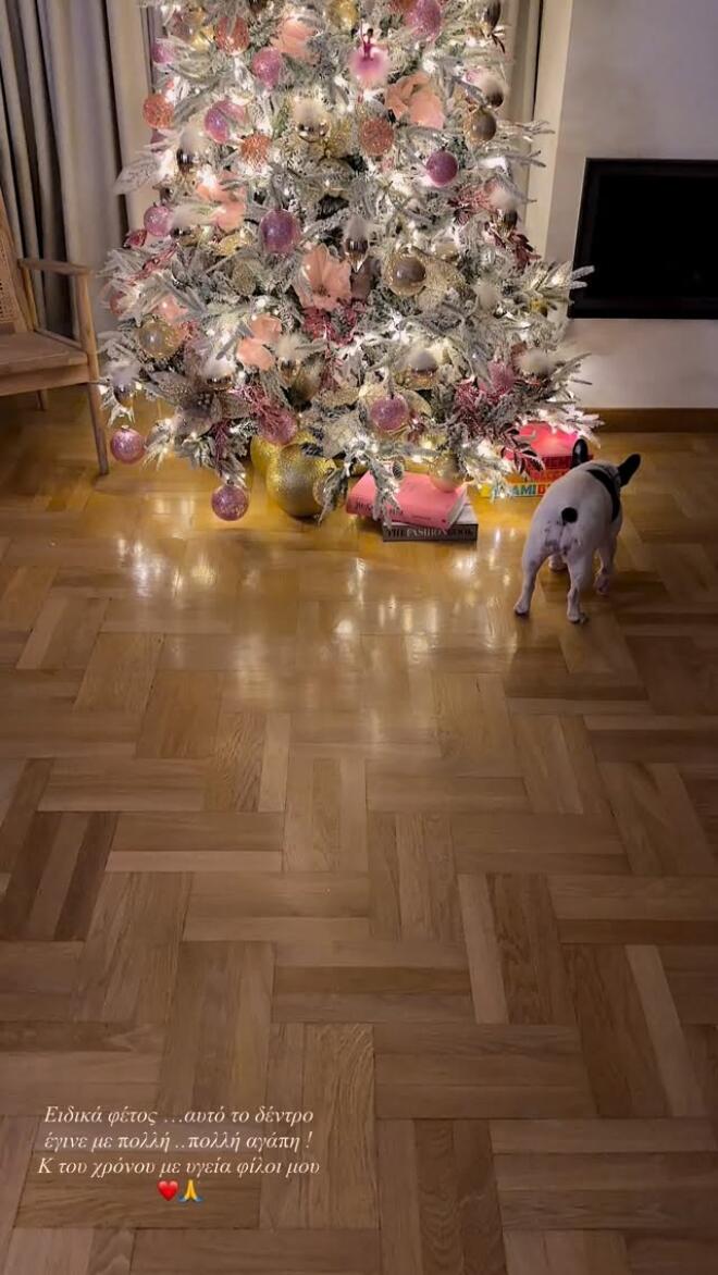 Καινούργιου: Το ροζ χριστουγεννιάτικο δέντρο της & η παιδική φωτογραφία