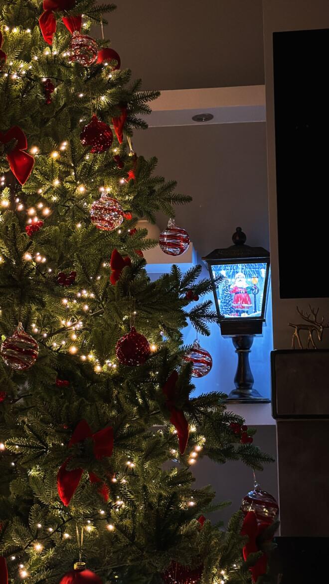 Καληφώνη - Μάστορας: Στόλισαν χριστουγεννιάτικο δέντρο στο σπίτι τους