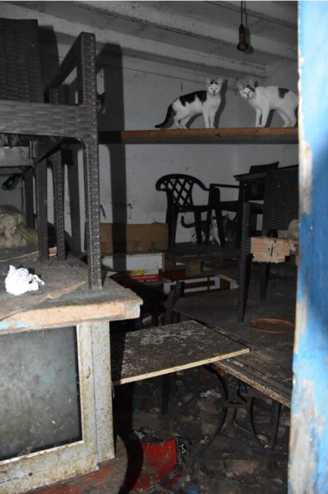 Κακοποίηση ζώων στη Δονούσα