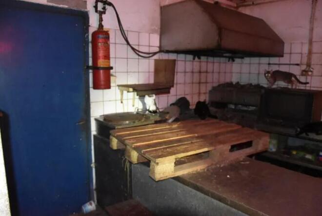 58 γάτες κρατούσε εγκλωβισμένες άνδρας στη Δονούσα