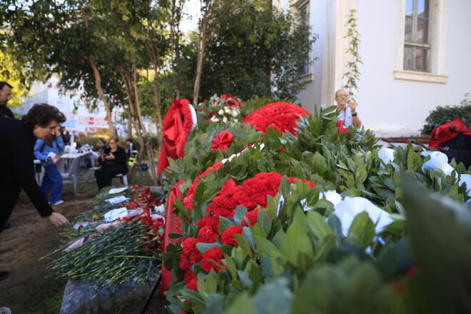 Πολυτεχνείο λουλούδια 3