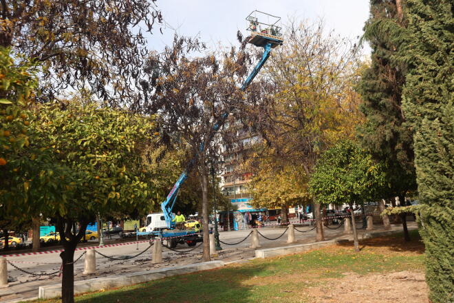 Στολισμός πλατείας Συντάγματος/ Eurokinissi Γιάννης Παναγόπουλος