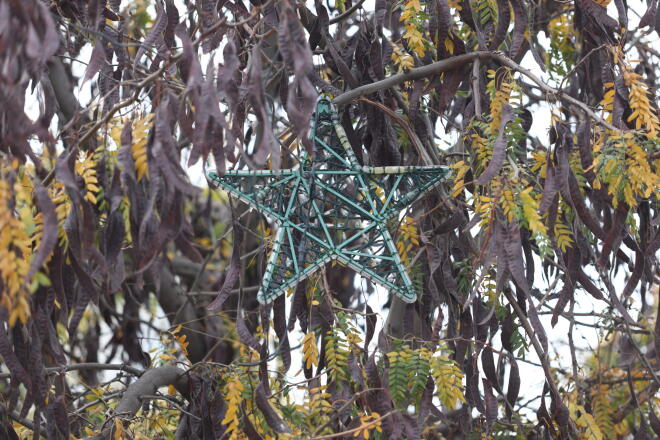 Στολισμός πλατείας Συντάγματος/ Eurokinissi Γιάννης Παναγόπουλος