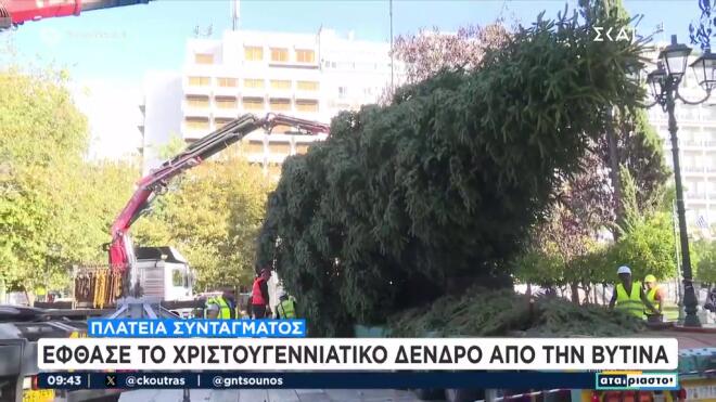 Έλατο 19 μέτρων θα στολίσει την πλατεία Συντάγματος/ screenshot ΣΚΑΪ