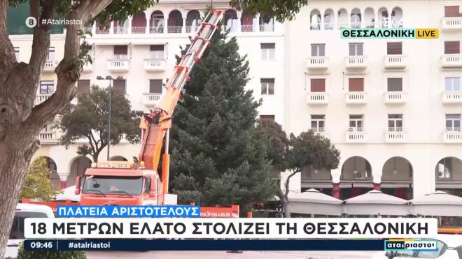 Θεσσαλονίκη: Έλατο 18 μέτρων θα στολίσει την πλατεία Αριστοτέλους/ screenshot ΣΚΑΪ