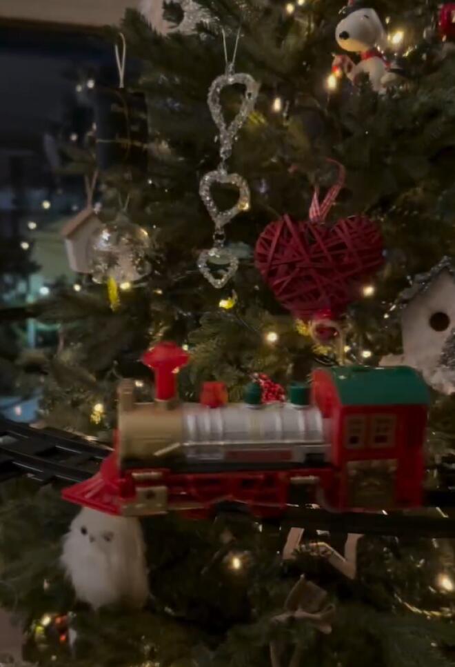 Στιγμιότυπο από το Χριστουγεννιάτικο δέντρο της Κωνσταντίνας Σπυροπούλου