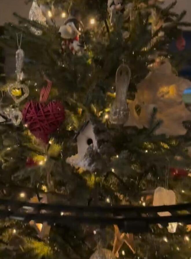 Στιγμιότυπο από το Χριστουγεννιάτικο δέντρο της Κωνσταντίνας Σπυροπούλου