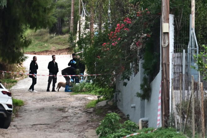 Σαλαμίνα δολοφονία 75χρονης 3