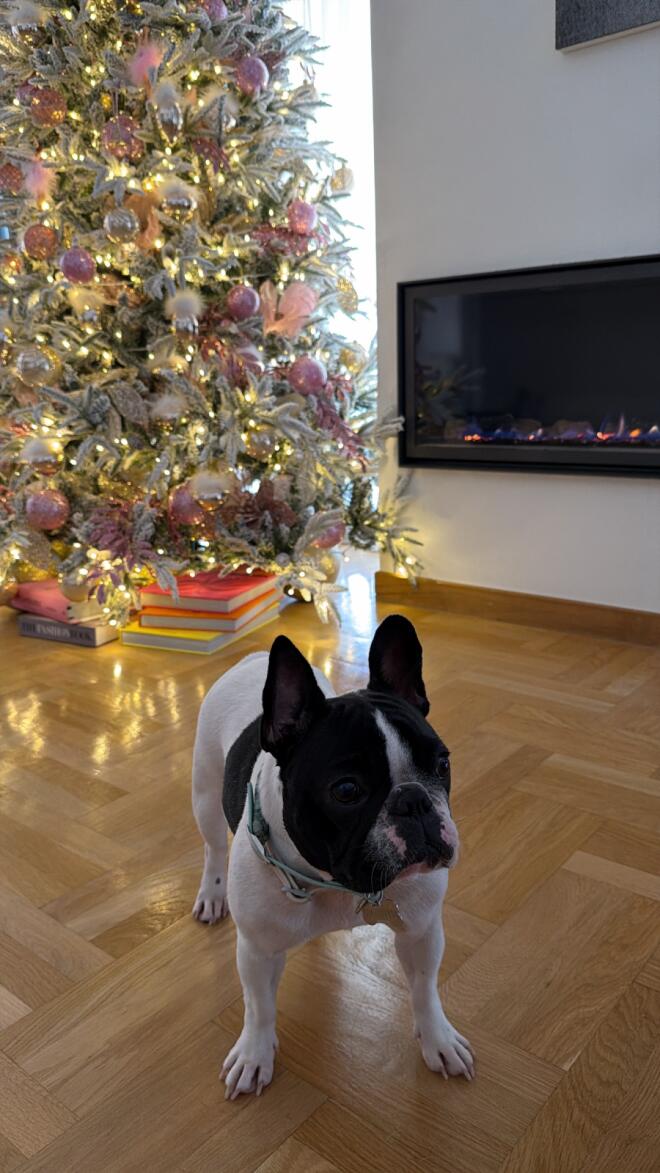 Κατερίνα Καινούργιου: Η νέα ανάρτηση με τον Πάνο Κουτσουμπή για «καλό μήνα»