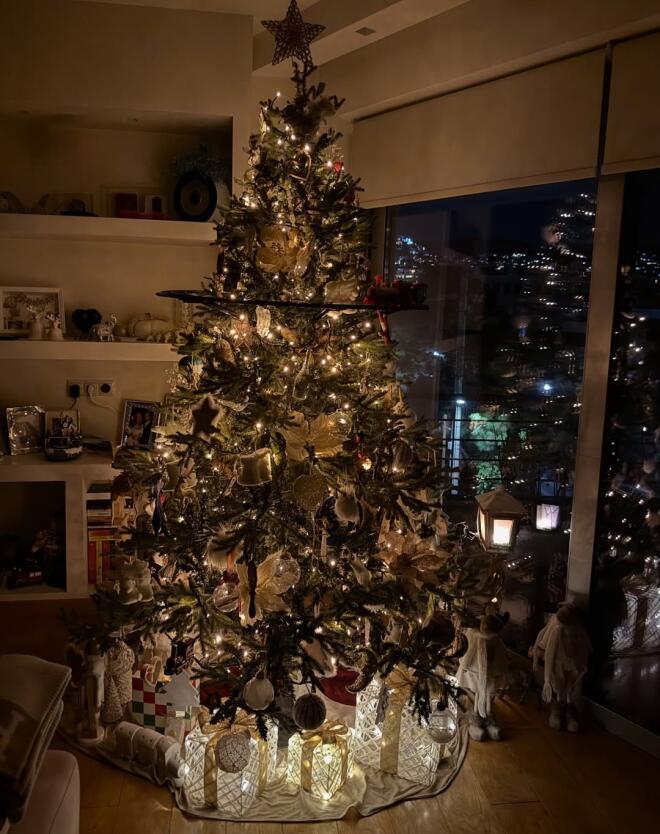 Κωνσταντίνα Σπυροπούλου: To στολισμένο χρισουγεννιάτικο δέντρο στο σπίτι της/ instagram