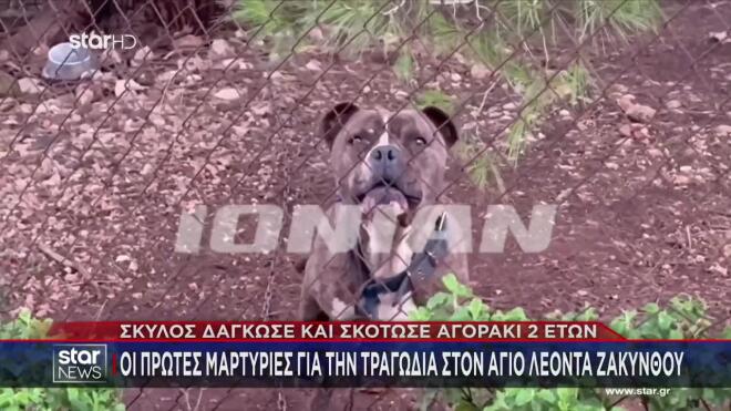 Ζάκυνθος: Αδέσποτο σκυλί που μάζεψαν στο σπίτι τους σκότωσε το αγοράκι