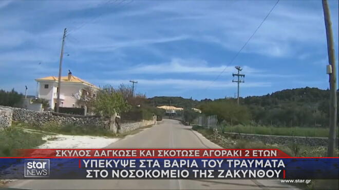 Ζάκυνθος: Αδέσποτο σκυλί που μάζεψαν στο σπίτι τους σκότωσε το αγοράκι