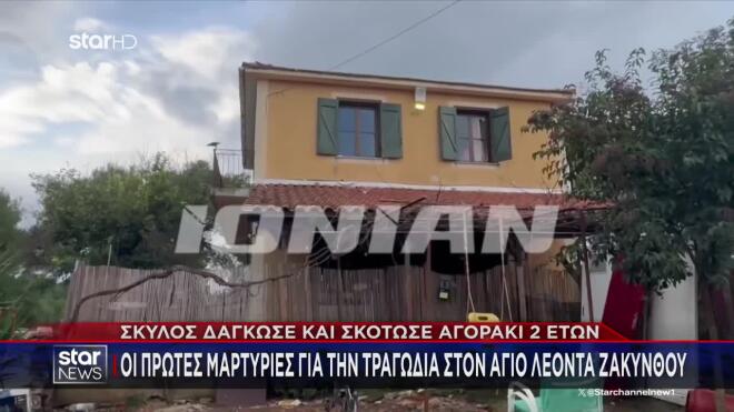 Ζάκυνθος: Αδέσποτο σκυλί που μάζεψαν στο σπίτι τους σκότωσε το αγοράκι