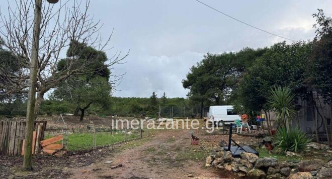 Οι γονείς του 2χρονου φιλοξενούσαν ζώα σε μια έκταση δίπλα από το σπίτι τους - imerazante.gr