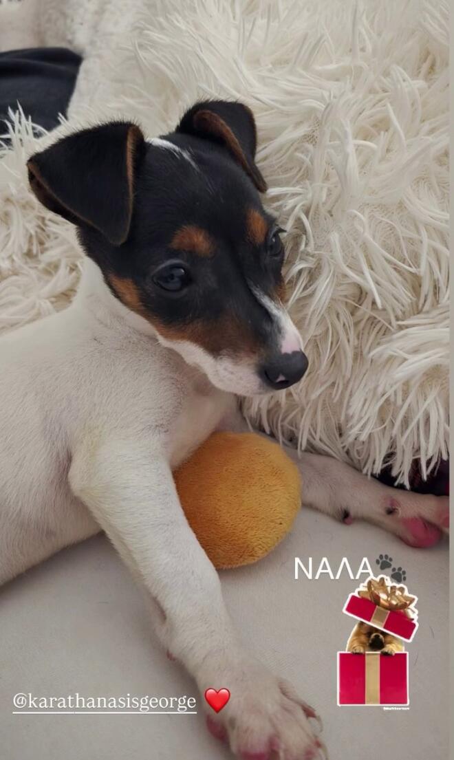 Καλύτερο δώρο από τη Νάλα δε θα μπορούσε να υπάρξει!