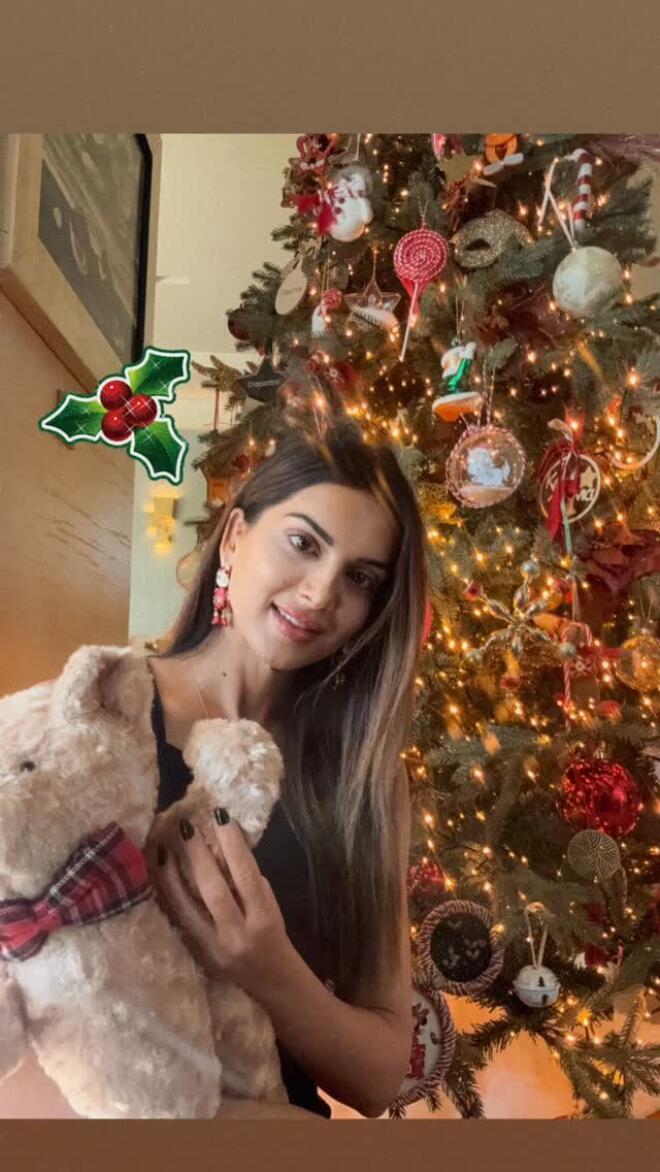 Το χριστουγεννιάτικο δέντρο της Σταματίνας Τσιμτσιλή/  instagram