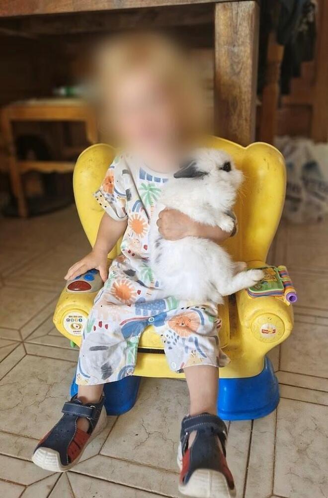 Ζάκυνθος αγοράκι νεκρό από σκύλο 2