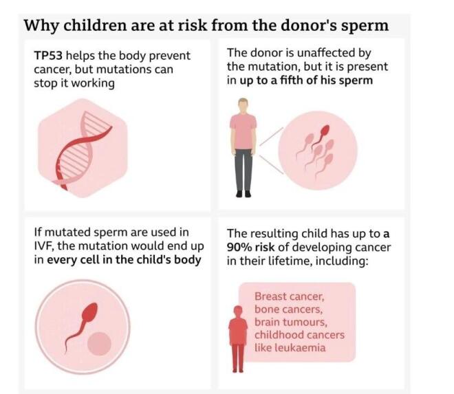 Γιατί κινδυνεύουν τα παιδιά που γεννήθηκαν από το σπέρμα με το καρκινικό γονίδιο - BBC