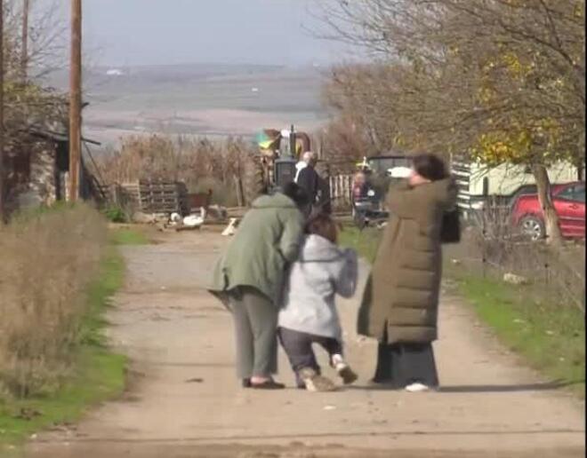 Θανάτωση 450 προβάτων στη Θεσσαλονίκη