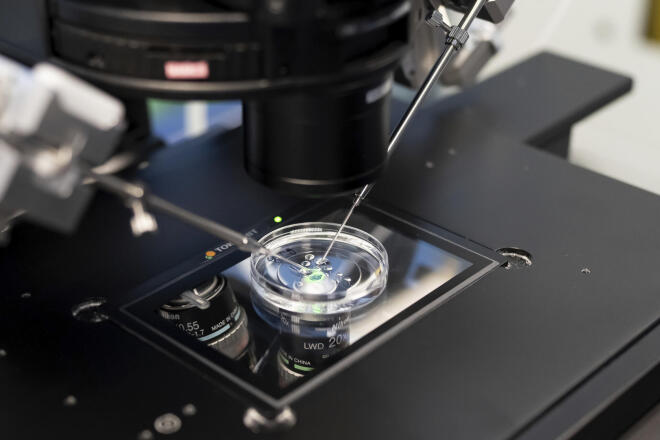 εργαστήριο γενετικής 1