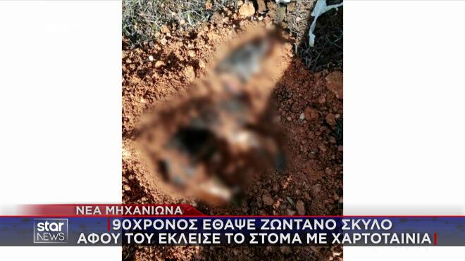 Φρίκη στη Θεσσαλονίκη: Φίμωσε και έθαψε ζωντανό τον σκύλο της κόρης του!