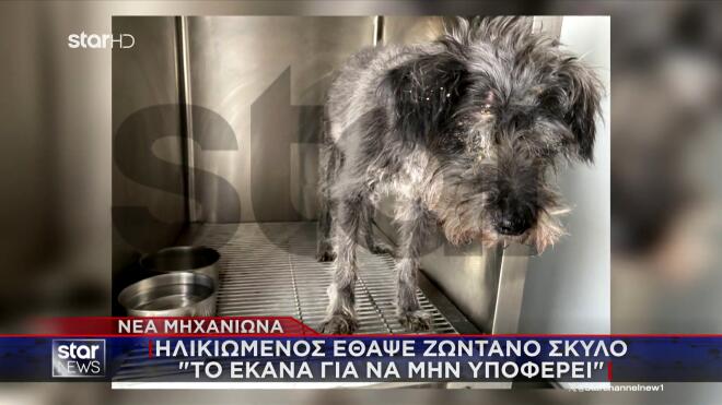 Θεσσαλονίκη: Έθαψε ζωντανό τον σκύλο του