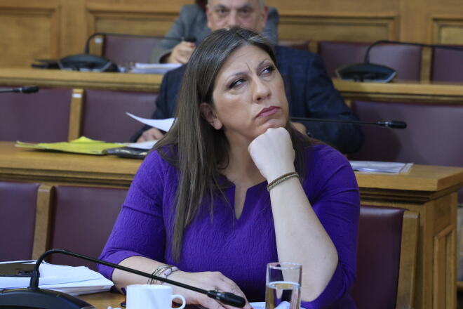 Ζωή Κωνσταντοπούλου 2