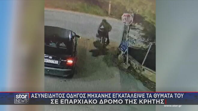 H Λάιλα έγινε «ασπίδα» για να σώσει το αφεντικό της απο τροχαίο