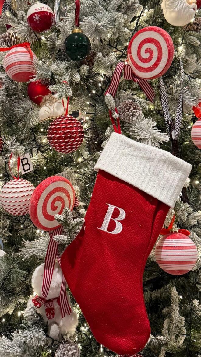 Αυτό ήταν το στολίδι που όλοι πρόσεξαν