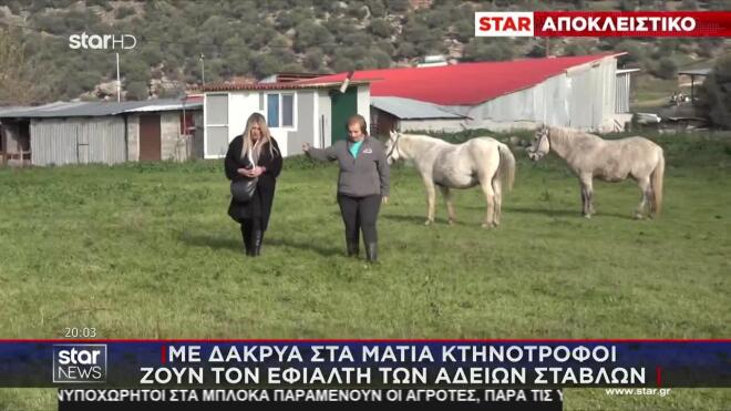 Αχαΐα: Το μεγαλύτερο ποσοστό των ζώων έχει θανατωθεί - «Καταστράφηκαν οι ζωές μας», λένε οι κτηνοτρόφοι