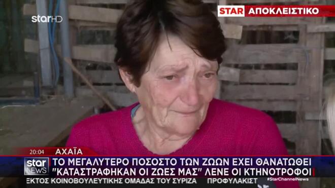 Κρήτη: Οι κτηνοτρόφοι δίνουν «μάχη» να εφοδιάσουν την αγορά εν όψει Χριστουγέννων