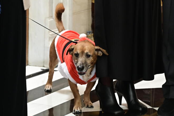 ο Πίνατ ντυμένος άγιος βασίλης 