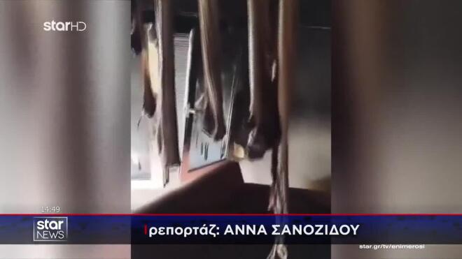 Ροδόπη: Πώς έγινε η τραγωδία με νεκρό έναν 7χρονο - Σοβαρά το αδελφάκι του