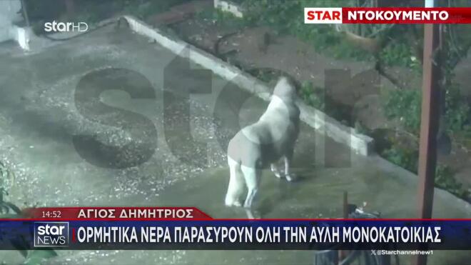 Τα σκυλιά οικογένειας που διαμένει σε μονοκατοικία ανησύχησαν έντονα, γαβγίζοντας προς το ρέμα