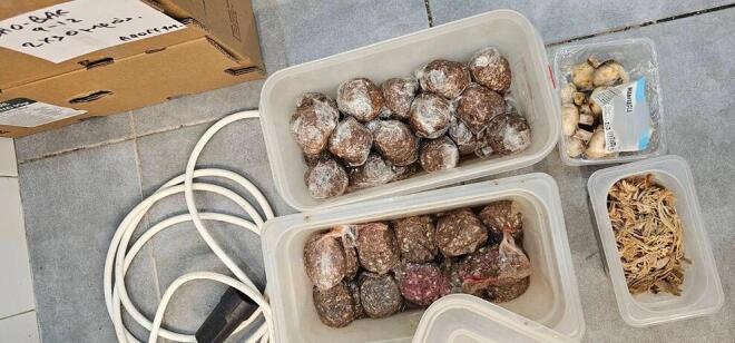 ακατάλληλα τρόφιμα 2