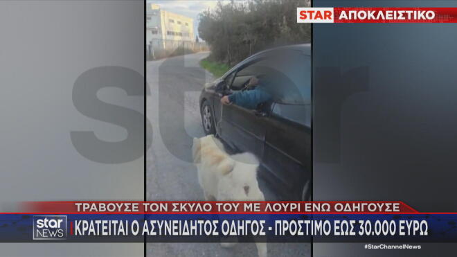 Θεσσαλονίκη: 67χρονος τραβούσε τον σκύλο του με λουρί ενώ οδηγούσε