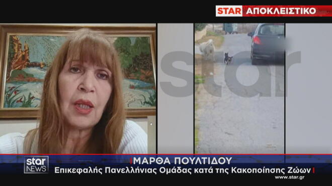 Θεσσαλονίκη: 67χρονος τραβούσε τον σκύλο του με λουρί ενώ οδηγούσε