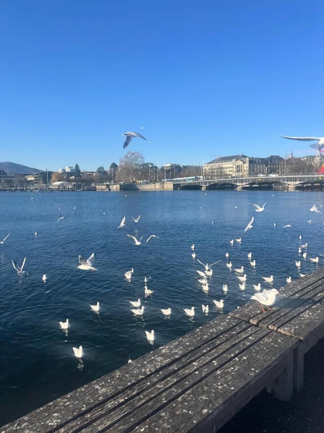 Σρόιτερ - Μπούκη: Φωτογραφίες από το ταξίδι στη Ζυρίχη με τις κόρες τους