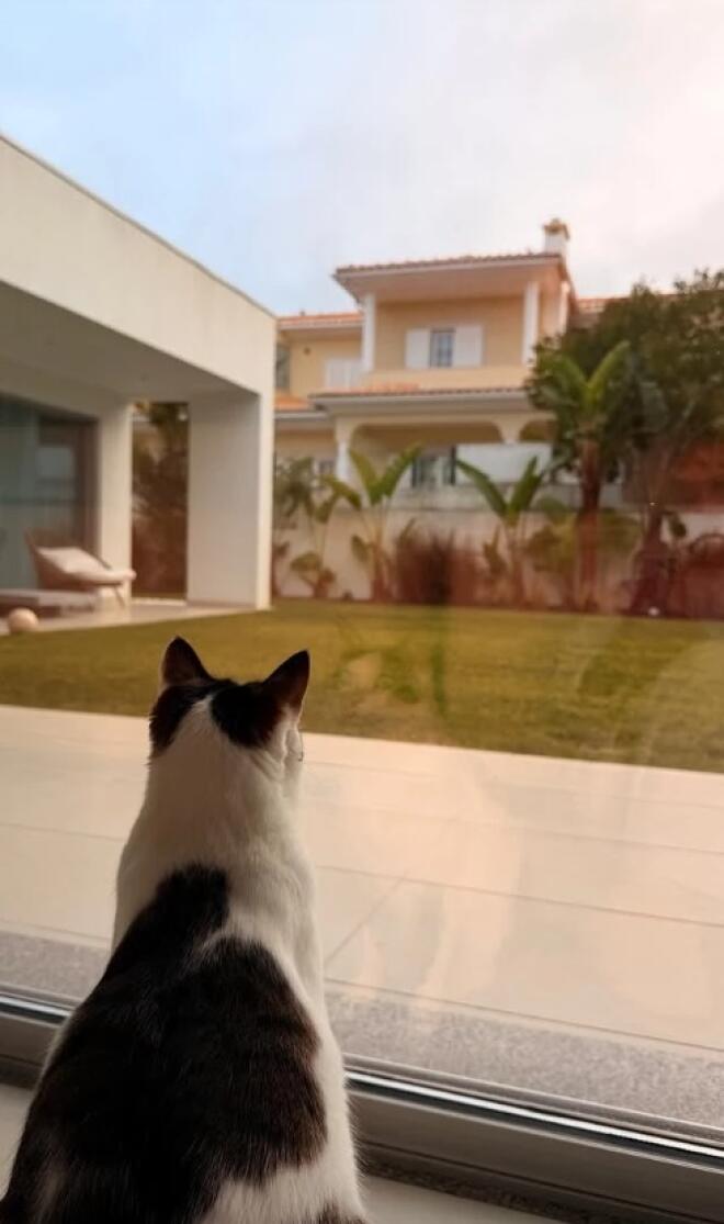 Βουλγαράκη: Δείχνει τον κήπο του σπιτιού της με τον Ιωαννίδη στη Λισαβόνα