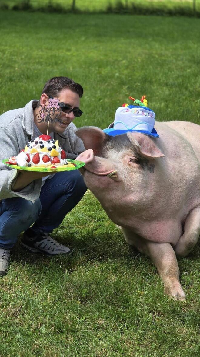 Ο Χάμι με τον έναν μπαμπά του - profimedia