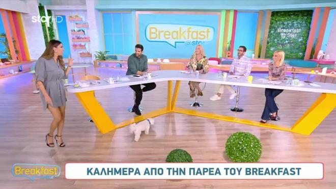 To κόλπο της Χατζίδου για να φαίνονται τα μαλλιά της πάντα περιποιημένα