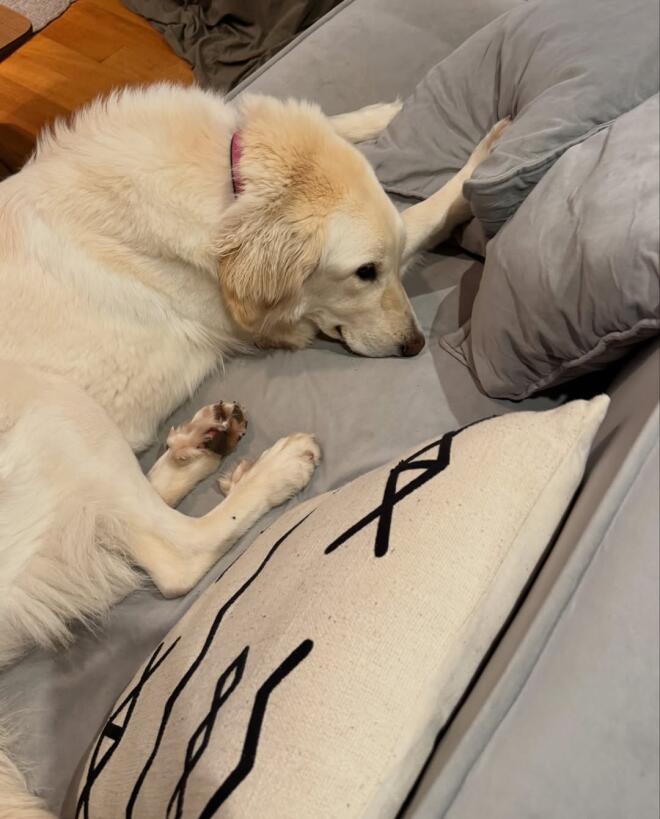 Δανάη Μπάρκα: Φωτογραφίζεται στο σπίτι της με το γνωστό outfit της ντροπής