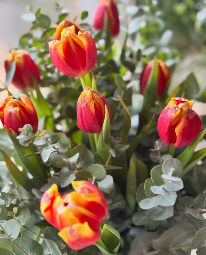 Δανάη Μπάρκα: Φωτογραφίζεται στο σπίτι της με το γνωστό outfit της ντροπής