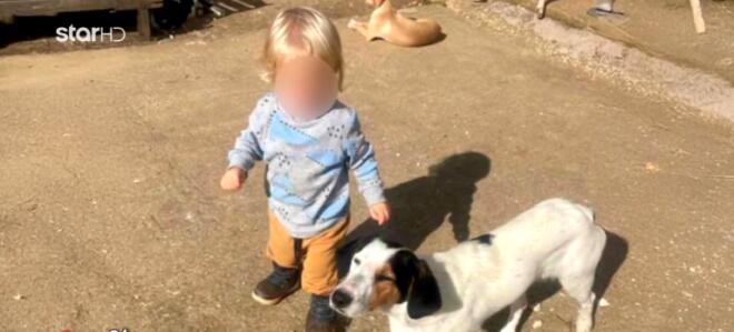 O 2 ετών Λίο που έχασε τη ζωή του από επίθεση σκύλου της οικογένειας στη Ζάκυνθο