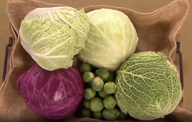 MasterChef: Λάχανα όλων των ειδών το βασικό υλικό του τεστ