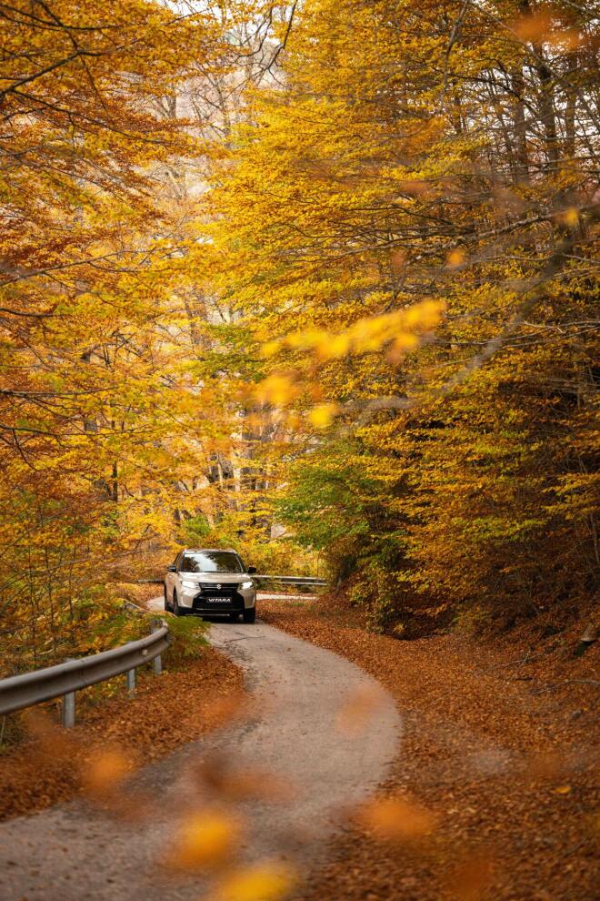 Suzuki VITARA:  Οι δυνατότητες του μέσα από κινηματογραφικό φακό